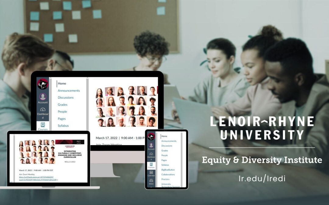 The Lenoir-Rhyne Equity & Diversity Institute